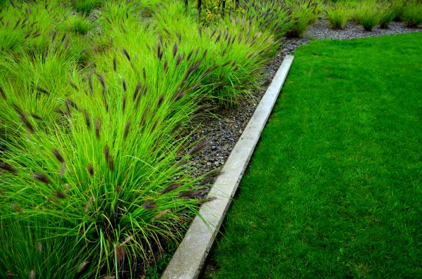 Concrete Edging Installation Service