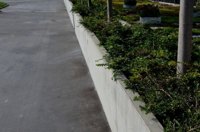 Benefits Of Concrete Curbing And Edging For Landscape Design